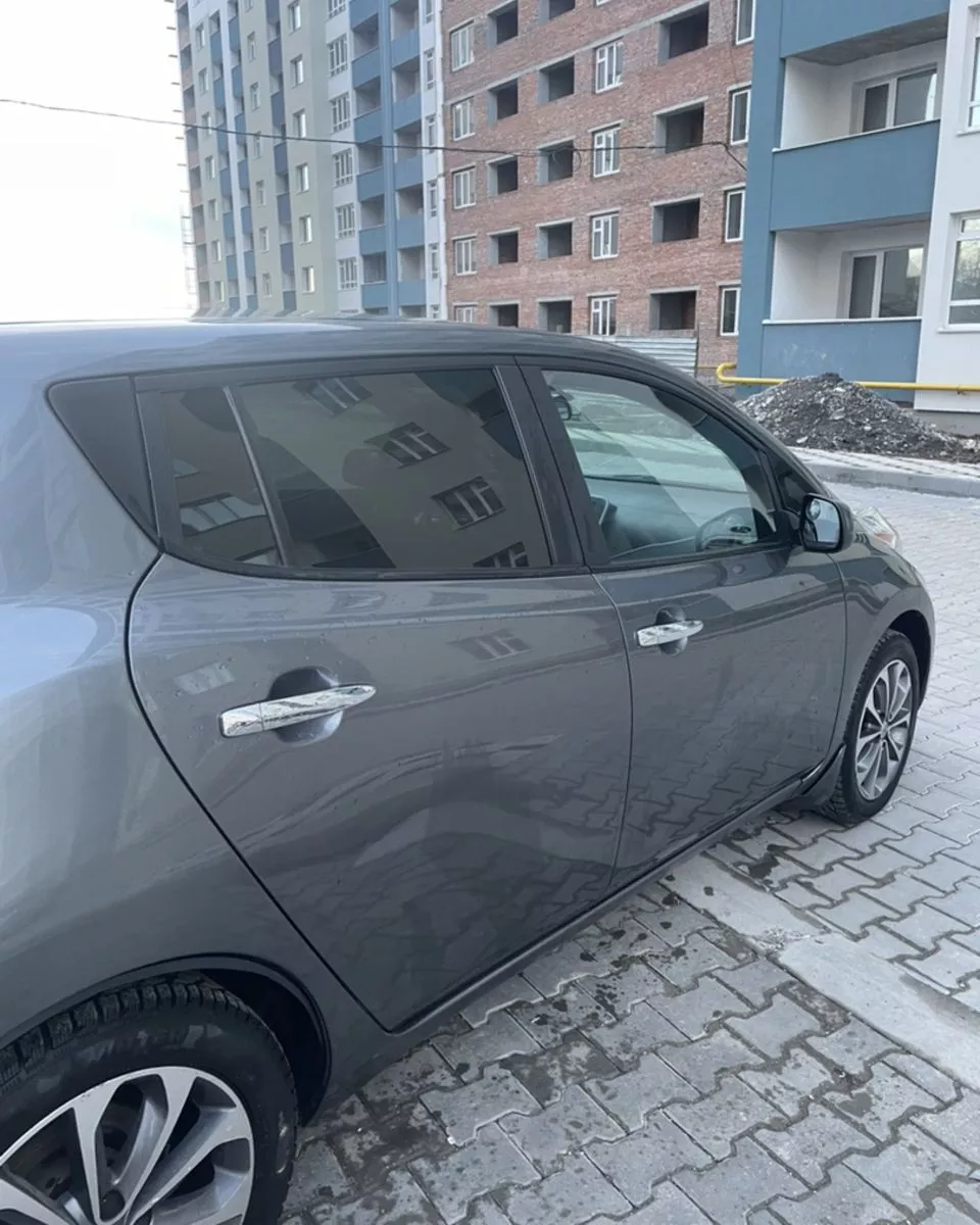 Nissan Leaf  24 kWh 2014101