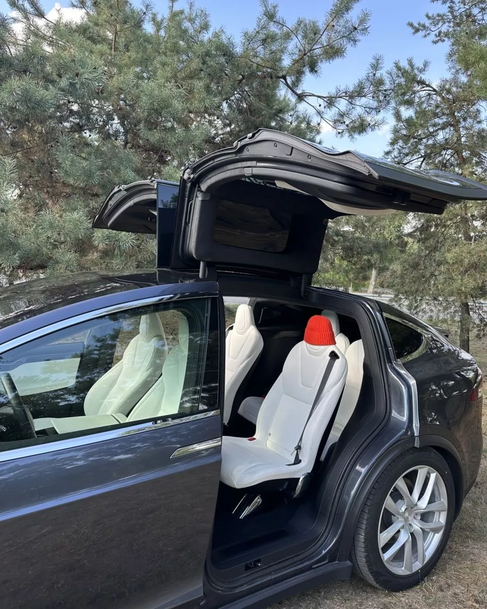 Tesla Model X  100 kWh 202061