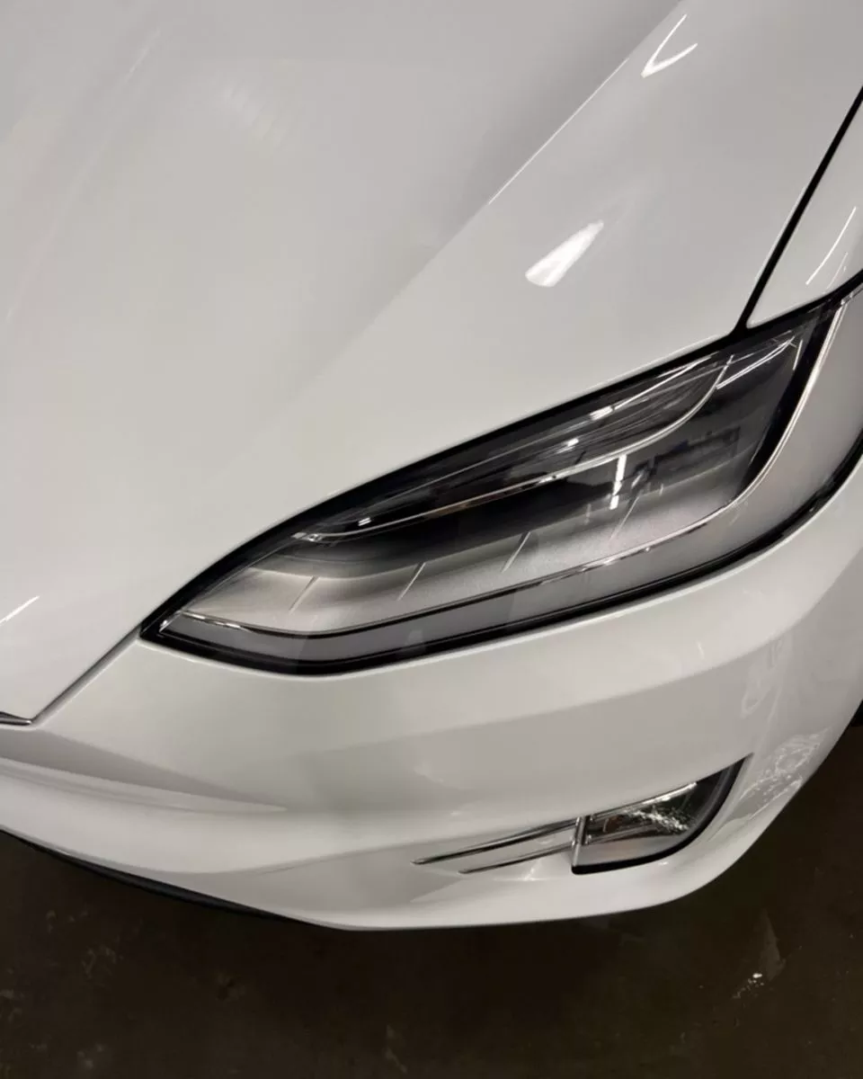 Tesla Model X  100 kWh 2019231