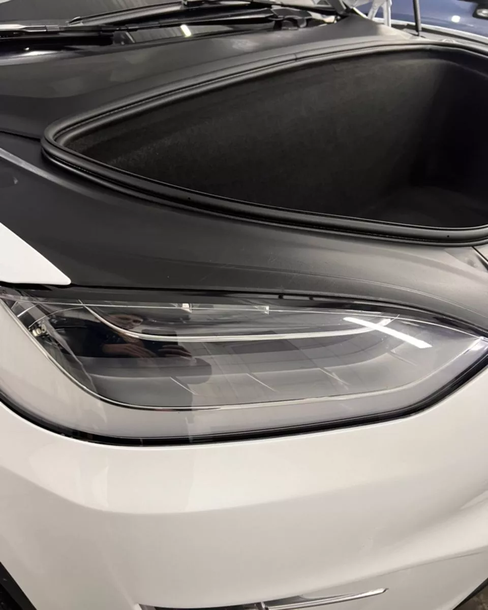 Tesla Model X  100 kWh 2019241