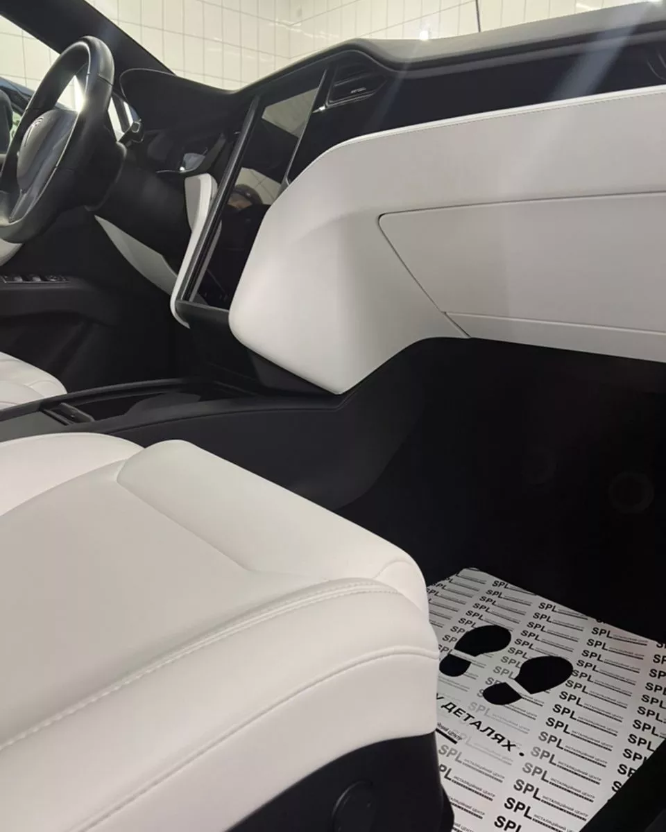 Tesla Model X  100 kWh 2019291