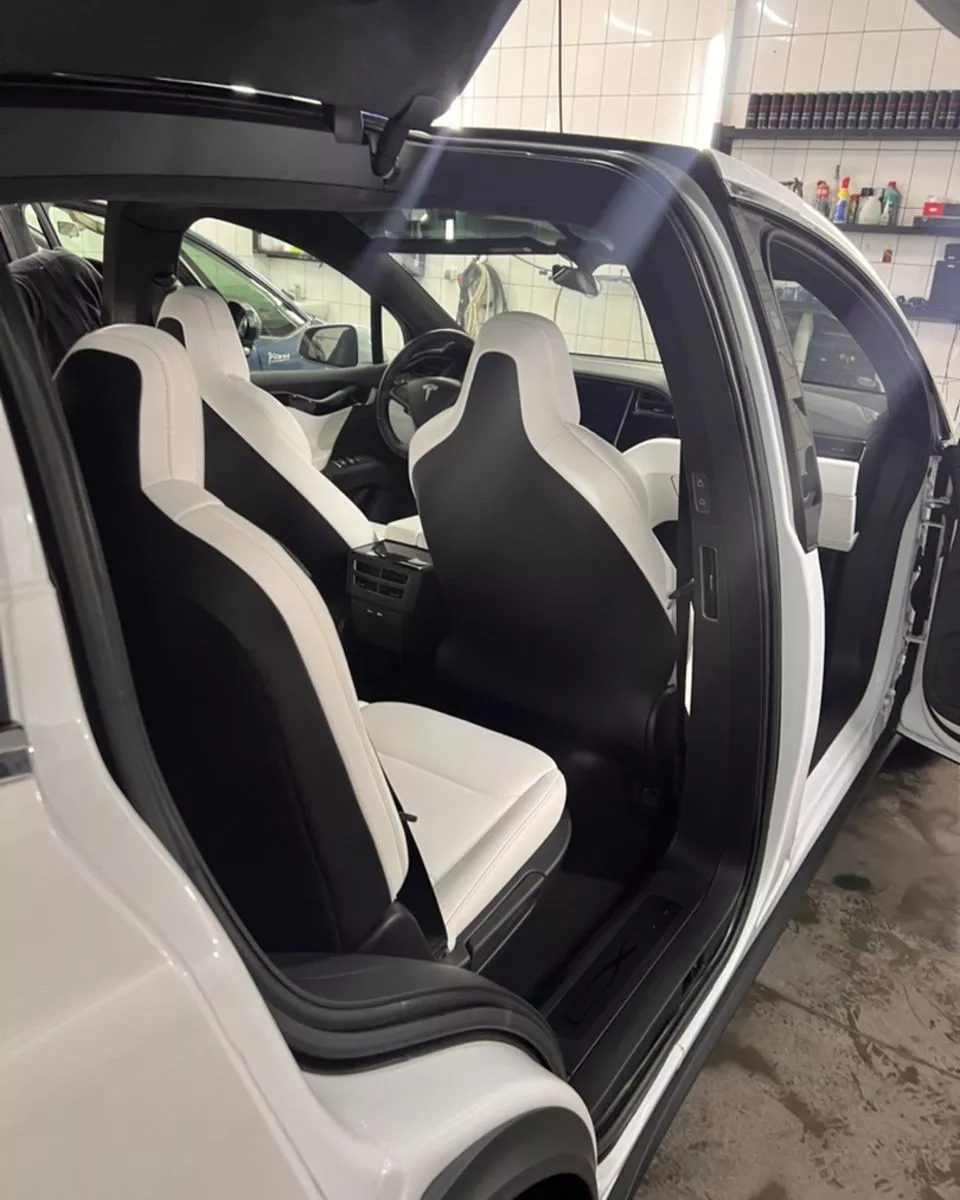 Tesla Model X  100 kWh 201951