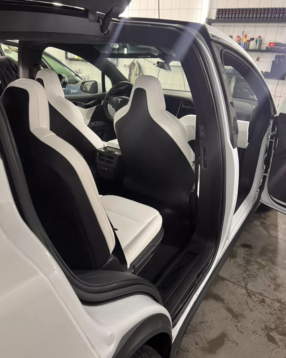 Tesla Model X  100 kWh 201961