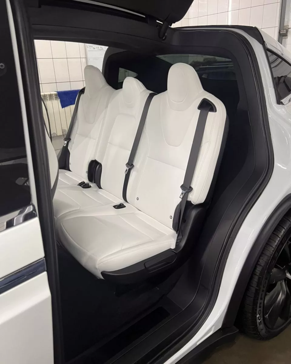 Tesla Model X  100 kWh 2019161