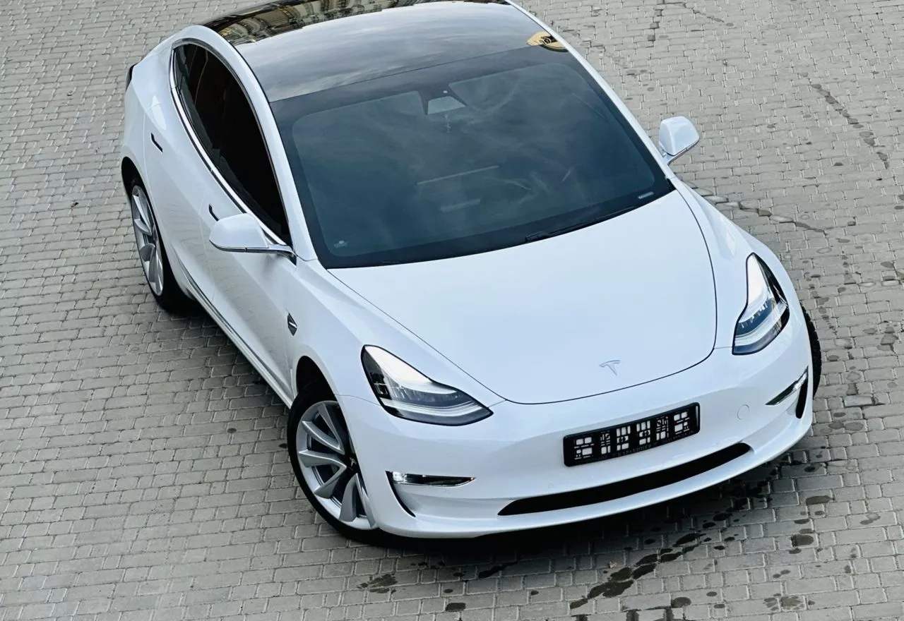 Tesla Model 3  201981