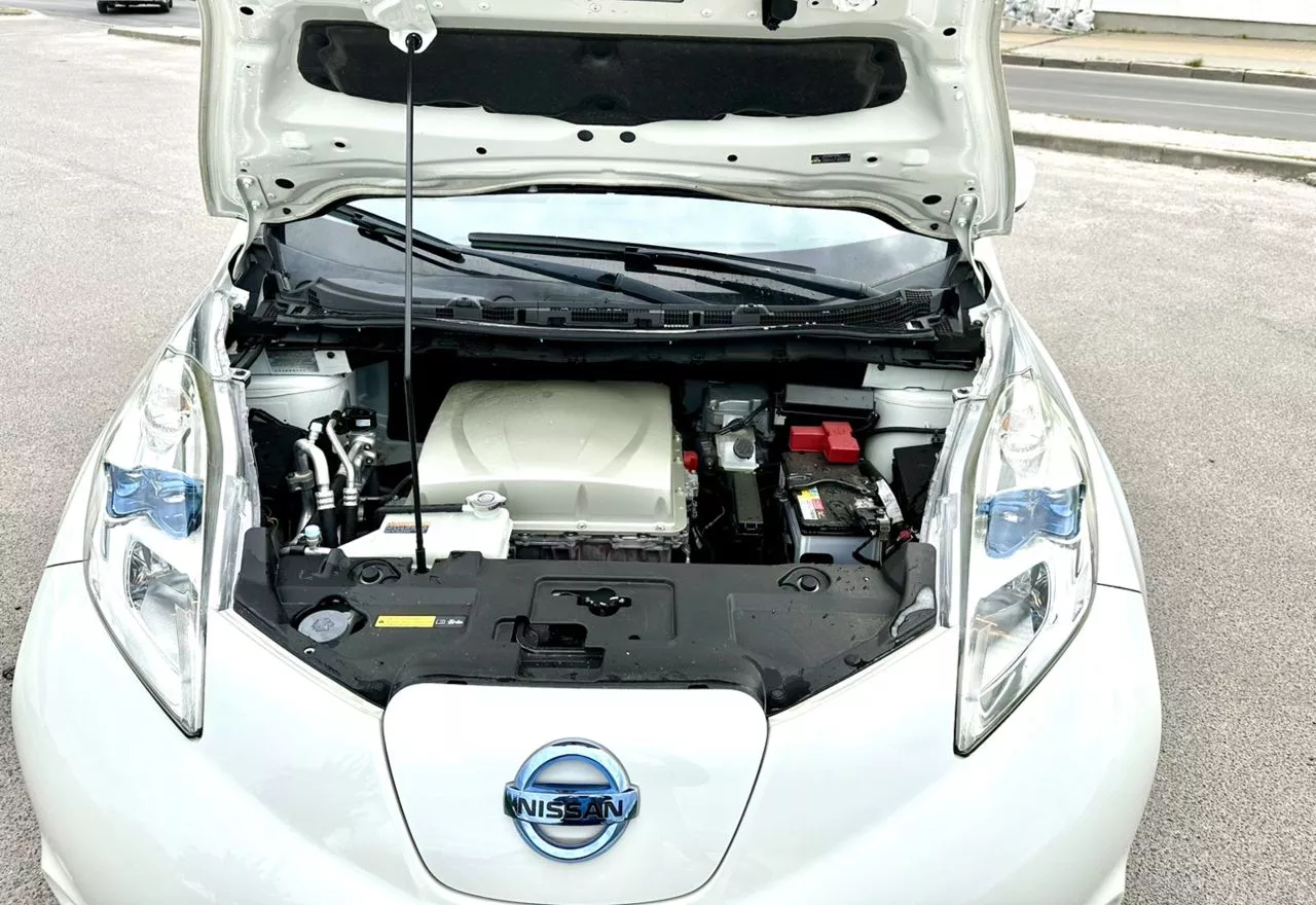 Nissan Leaf  2016101