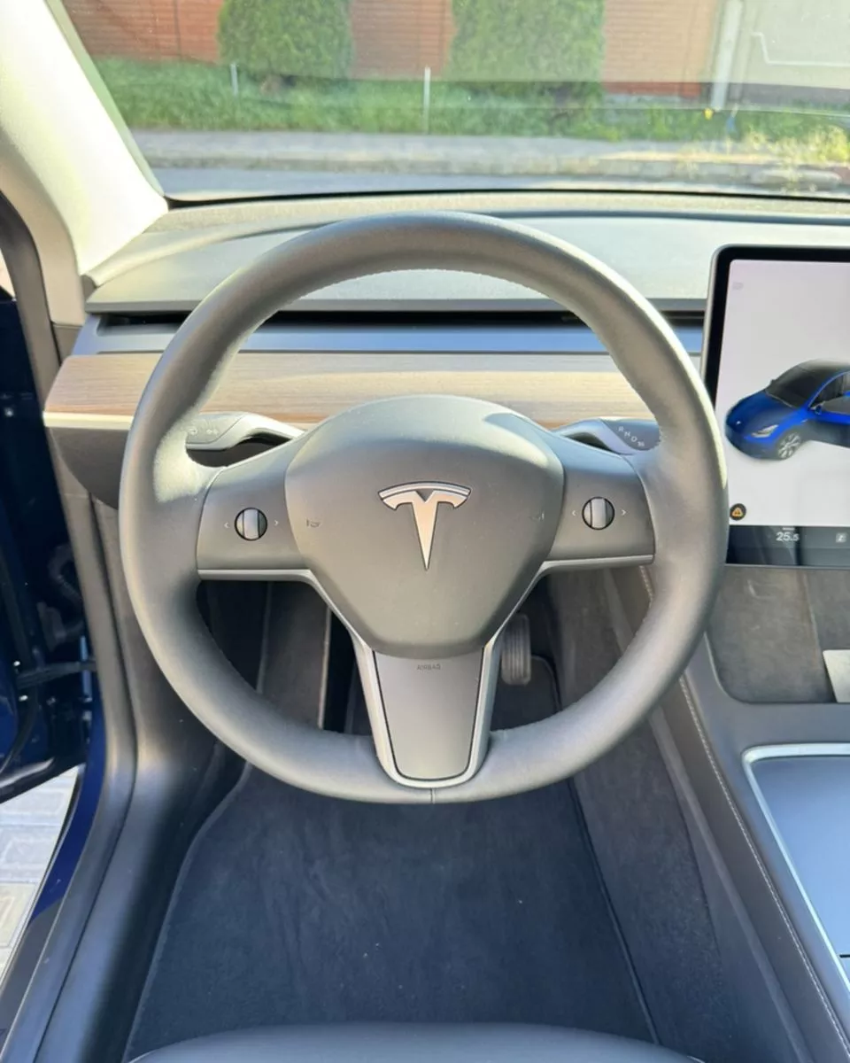 Tesla Model Y  82 kWh 2021101