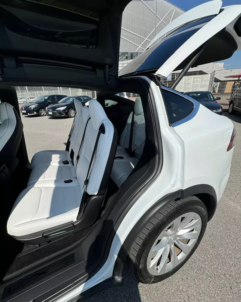 Tesla Model X  75 kWh 2018161