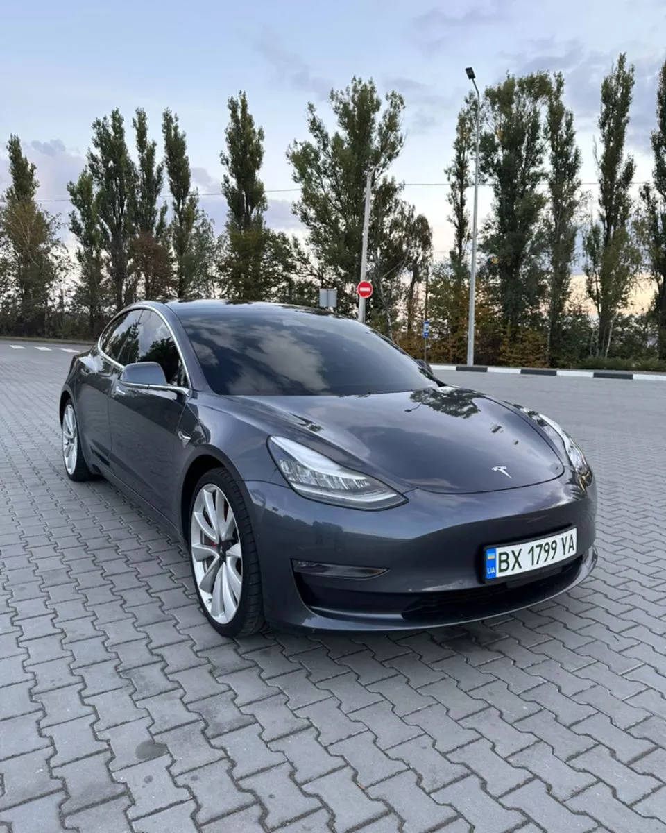 Tesla Model 3  80.5 kWh 2019141