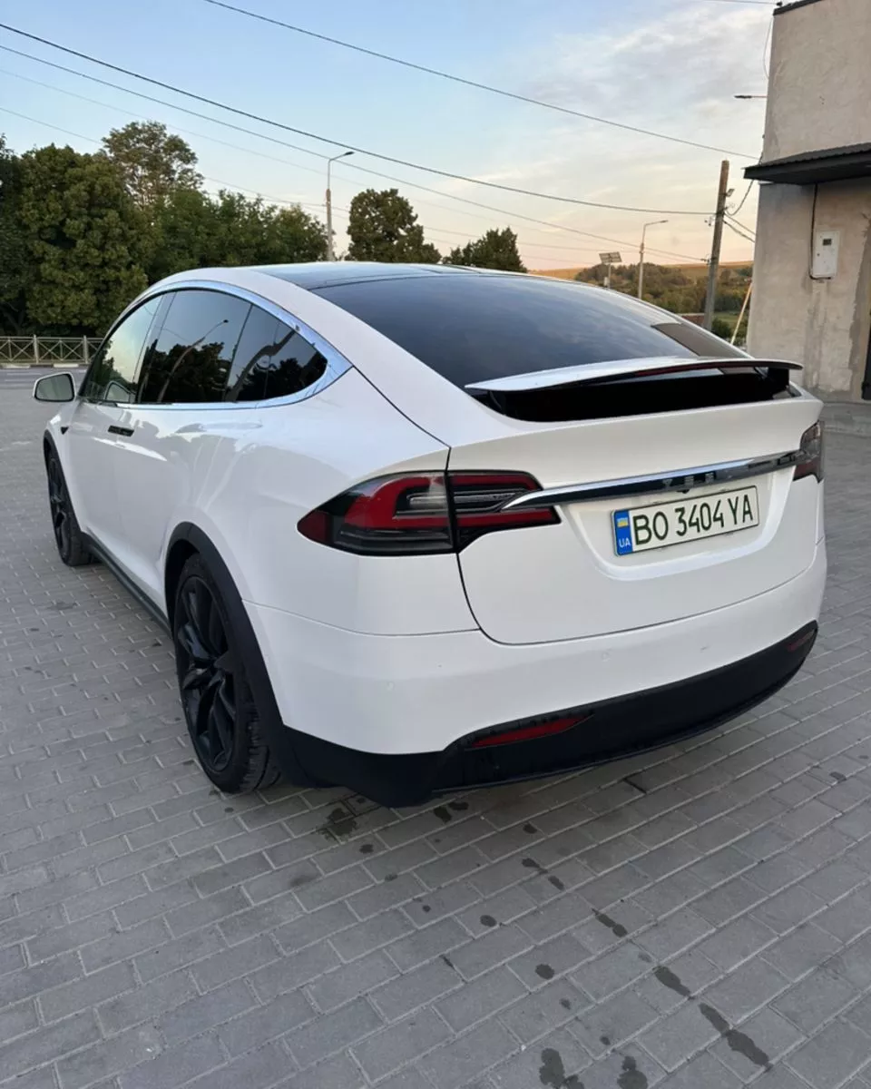 Tesla Model X  100 kWh 2020101