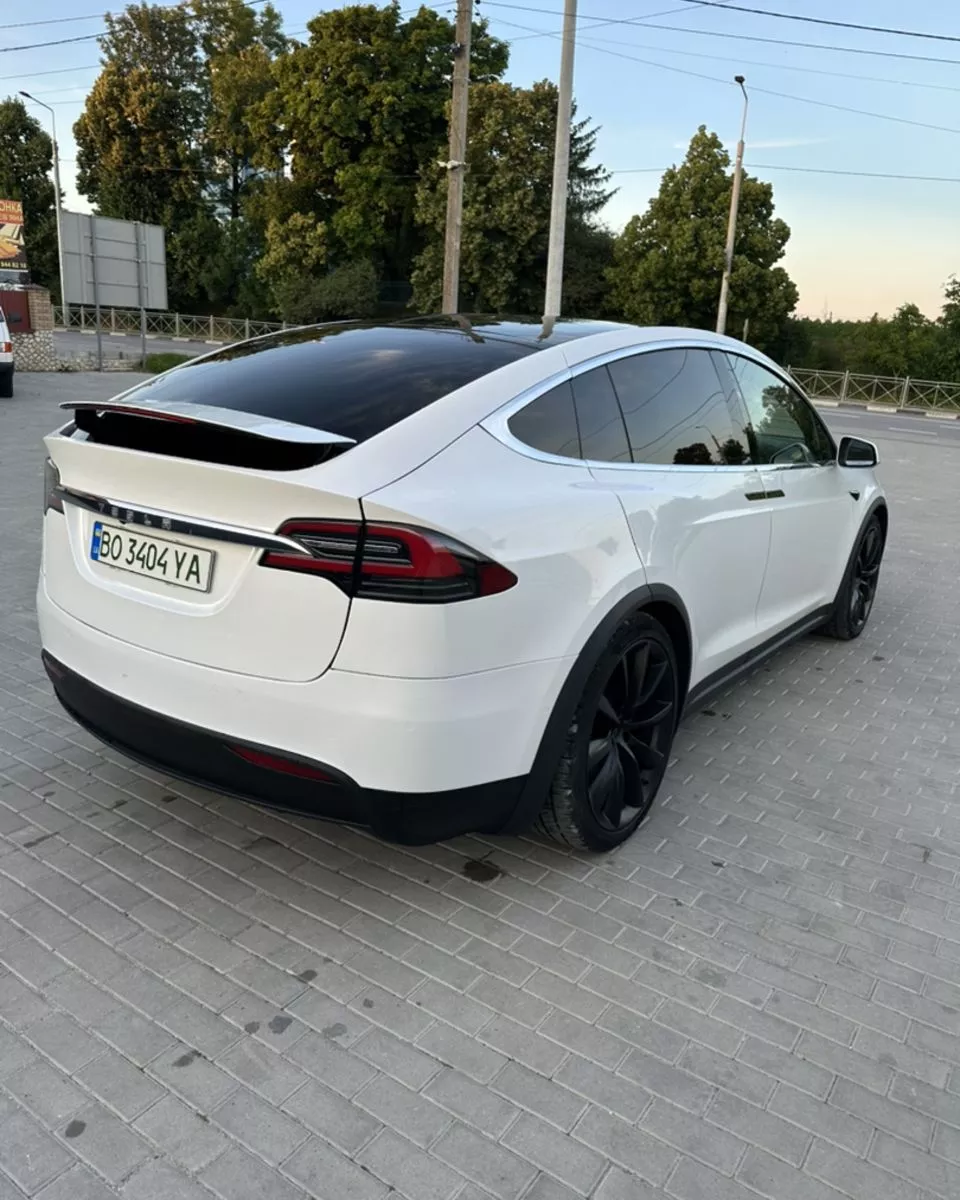 Tesla Model X  100 kWh 2020161