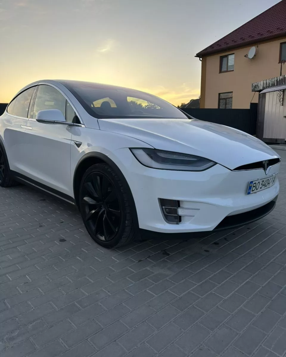 Tesla Model X  100 kWh 2020301