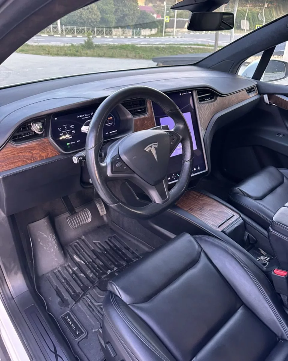 Tesla Model X  100 kWh 2020341