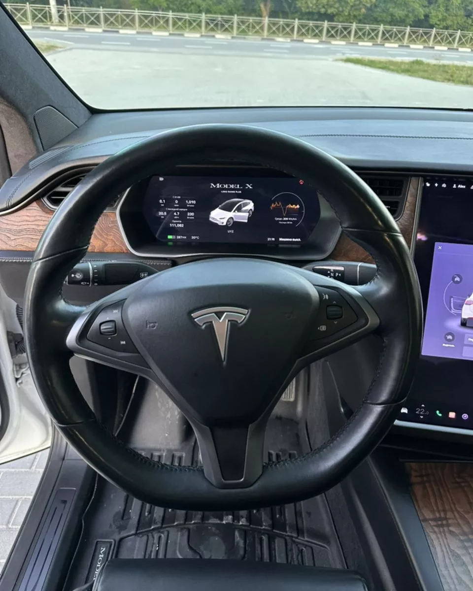 Tesla Model X  100 kWh 2020351