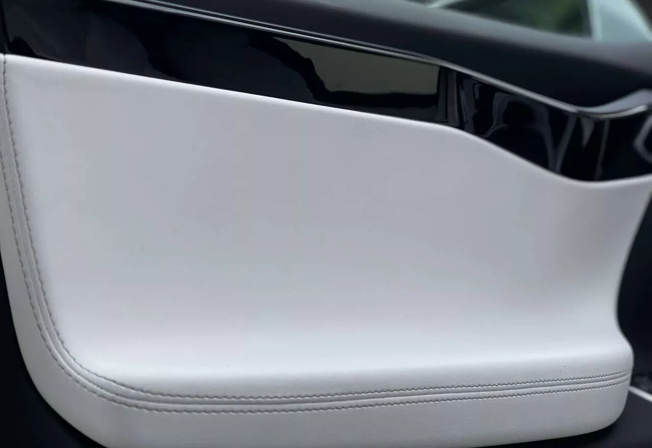 Tesla Model X  100 kWh 2020201