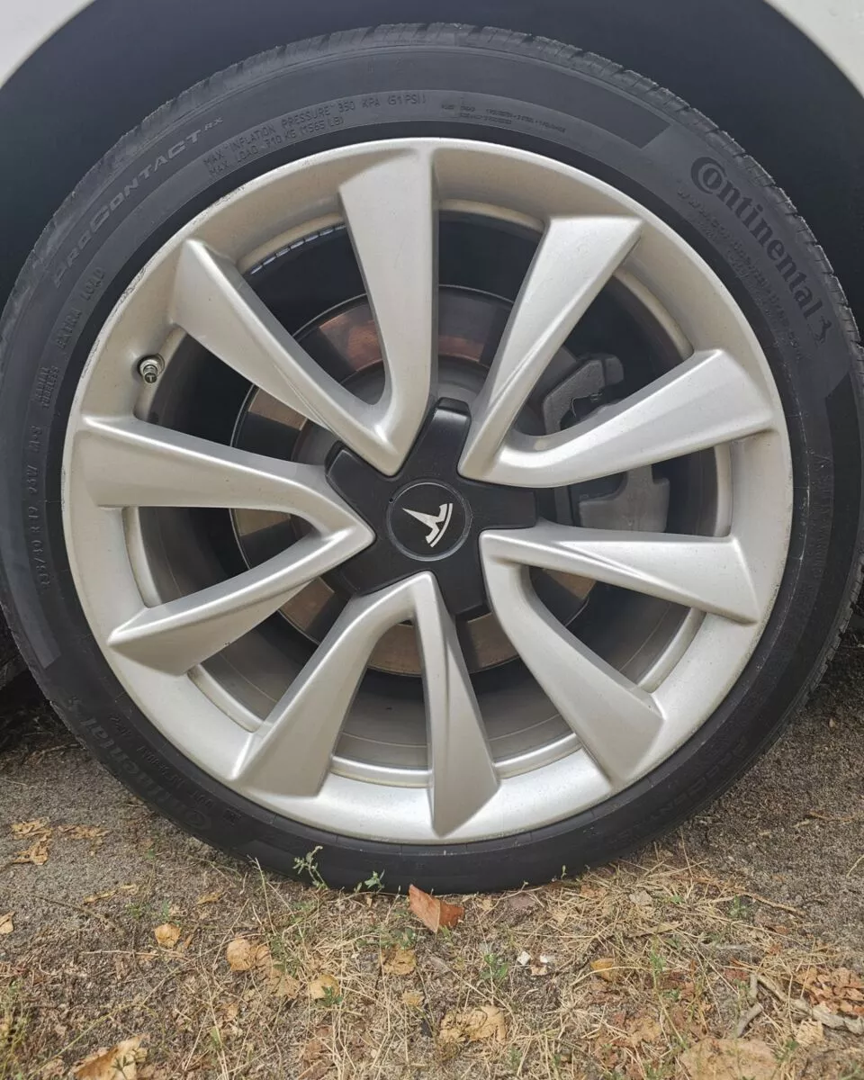 Tesla Model 3  75 kWh 2019261