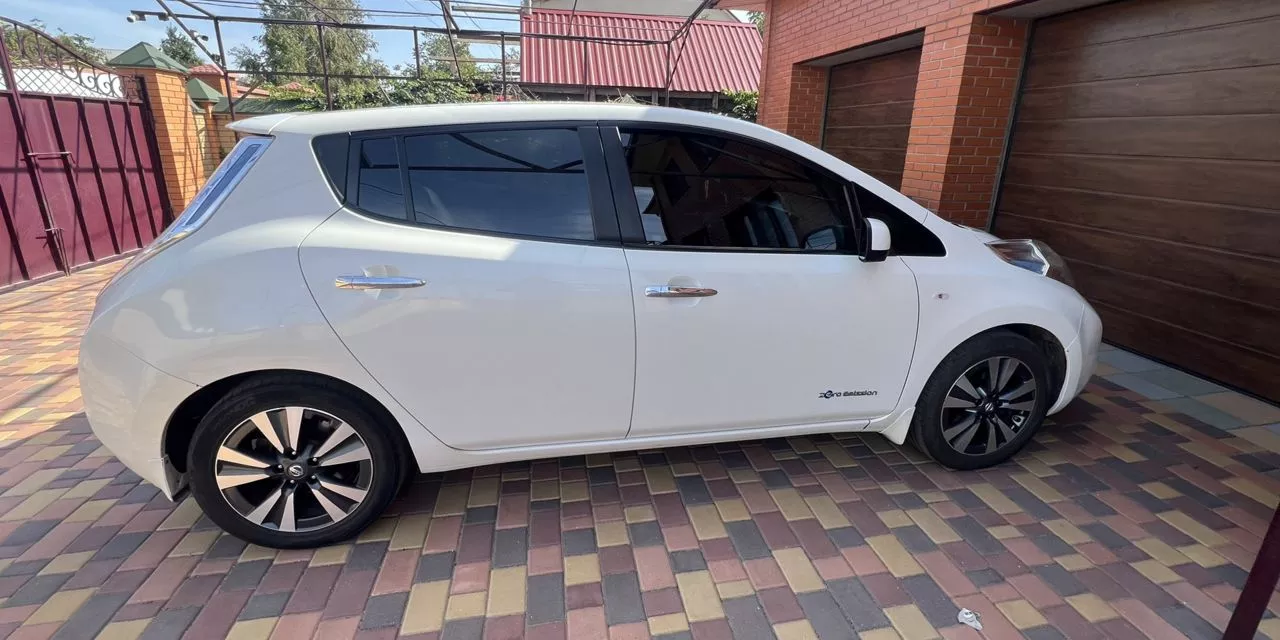 Nissan Leaf  201641