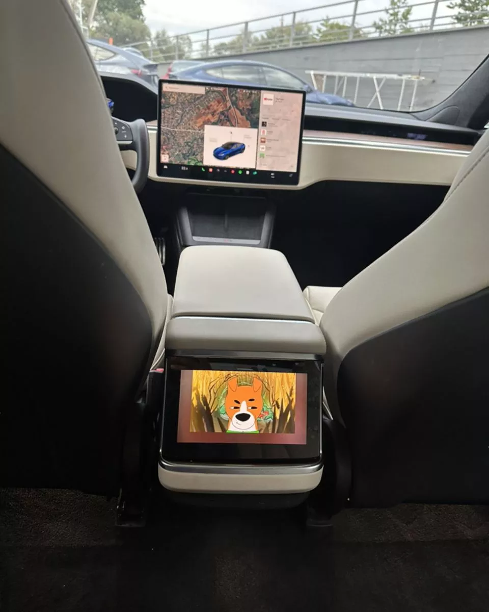 Tesla Model S  100 kWh 2022101