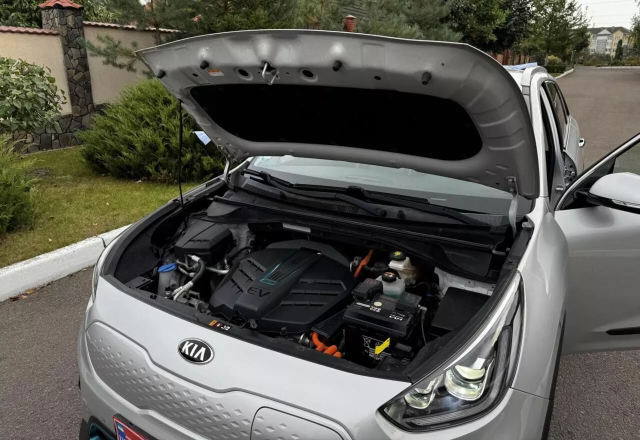 Kia Niro  64 kWh 2019461