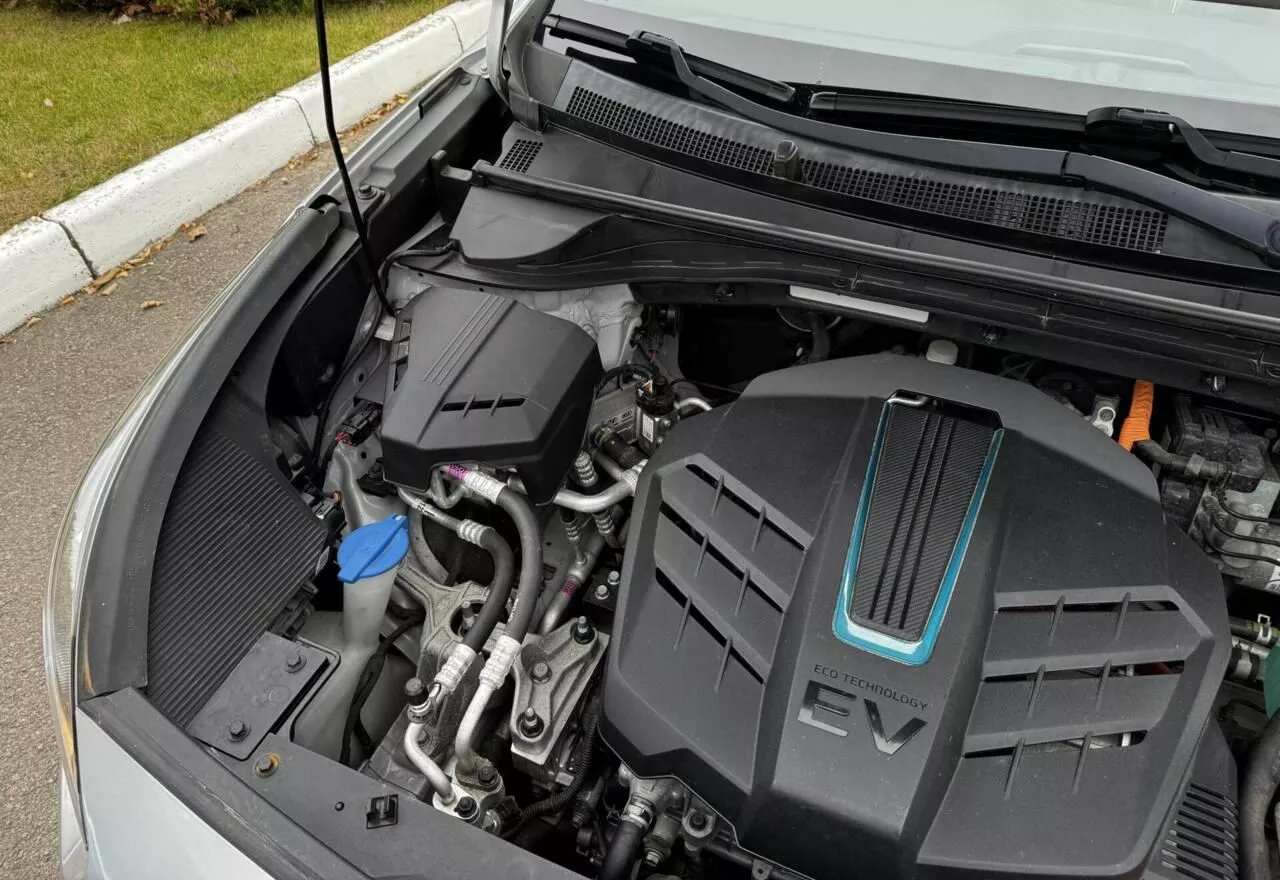 Kia Niro  64 kWh 2019481