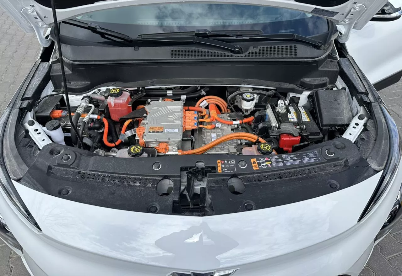 Chevrolet Bolt EUV  65 kWh 2021371