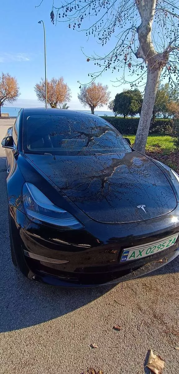 Tesla Model 3  75 kWh 201811