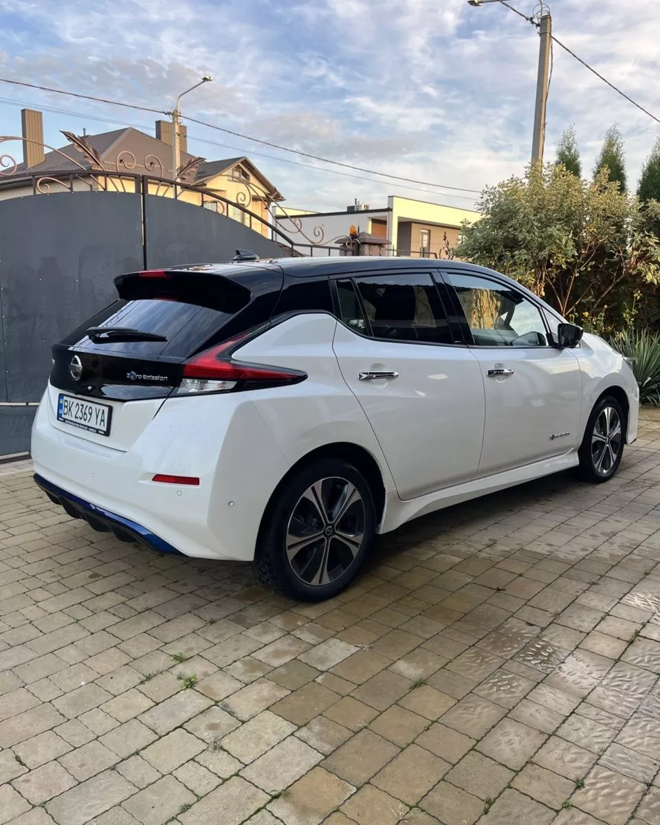 Nissan Leaf  2019141