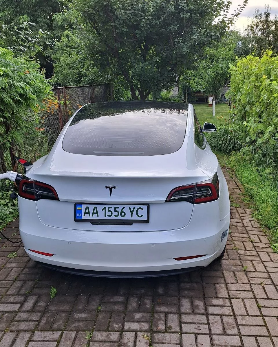 Tesla Model 3  55 kWh 202051