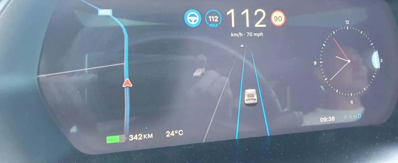 Tesla Model X  100 kWh 2019201