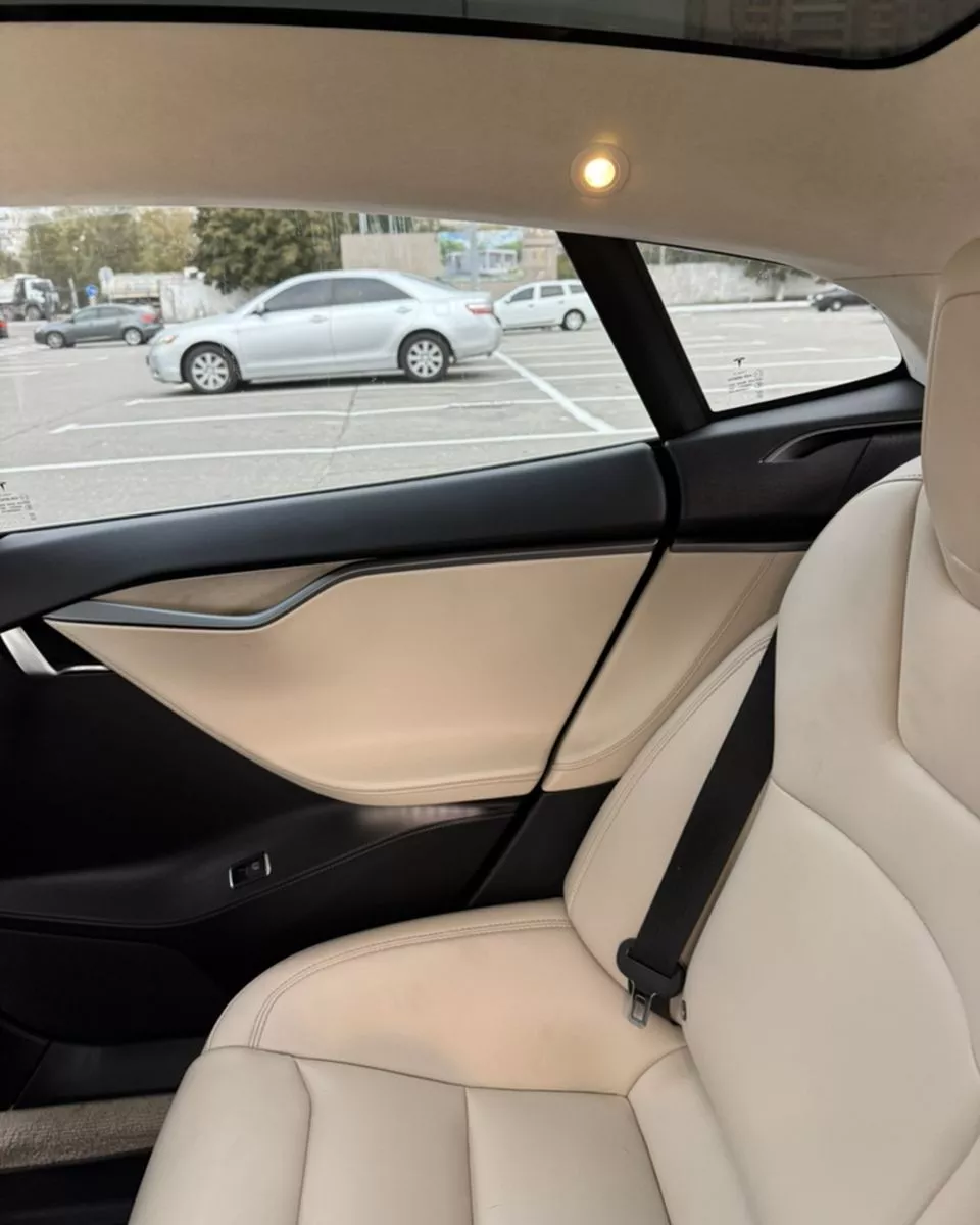 Tesla Model S  100 kWh 2019381