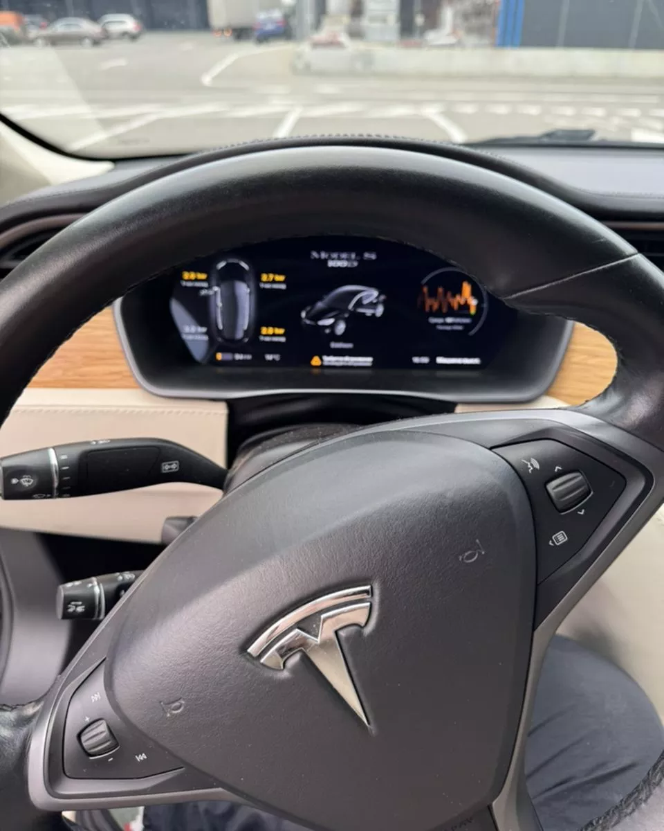 Tesla Model S  100 kWh 201961