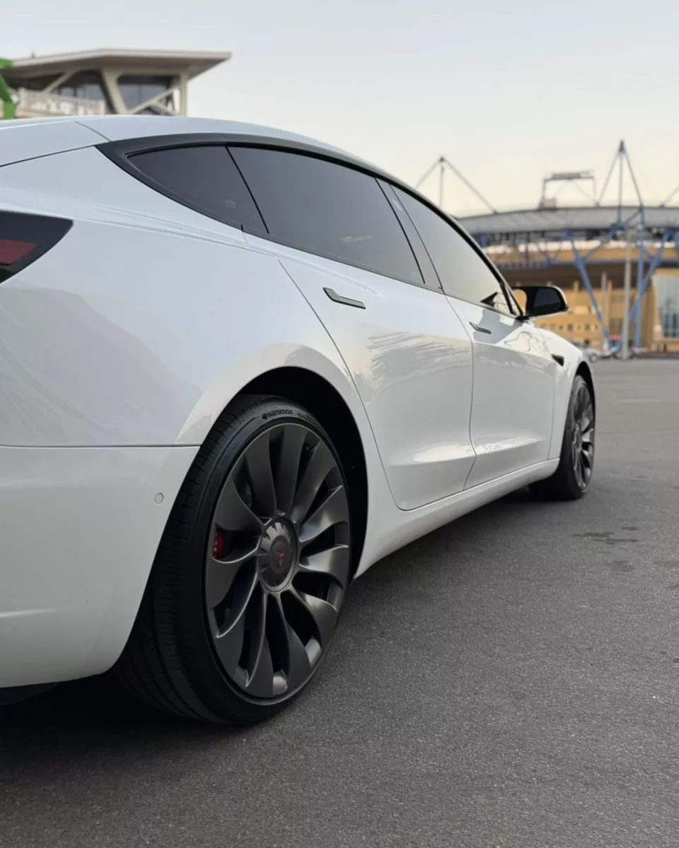 Tesla Model 3  82.5 kWh 202191