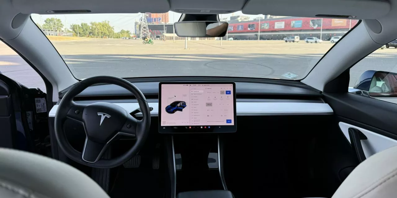 Tesla Model 3  201981