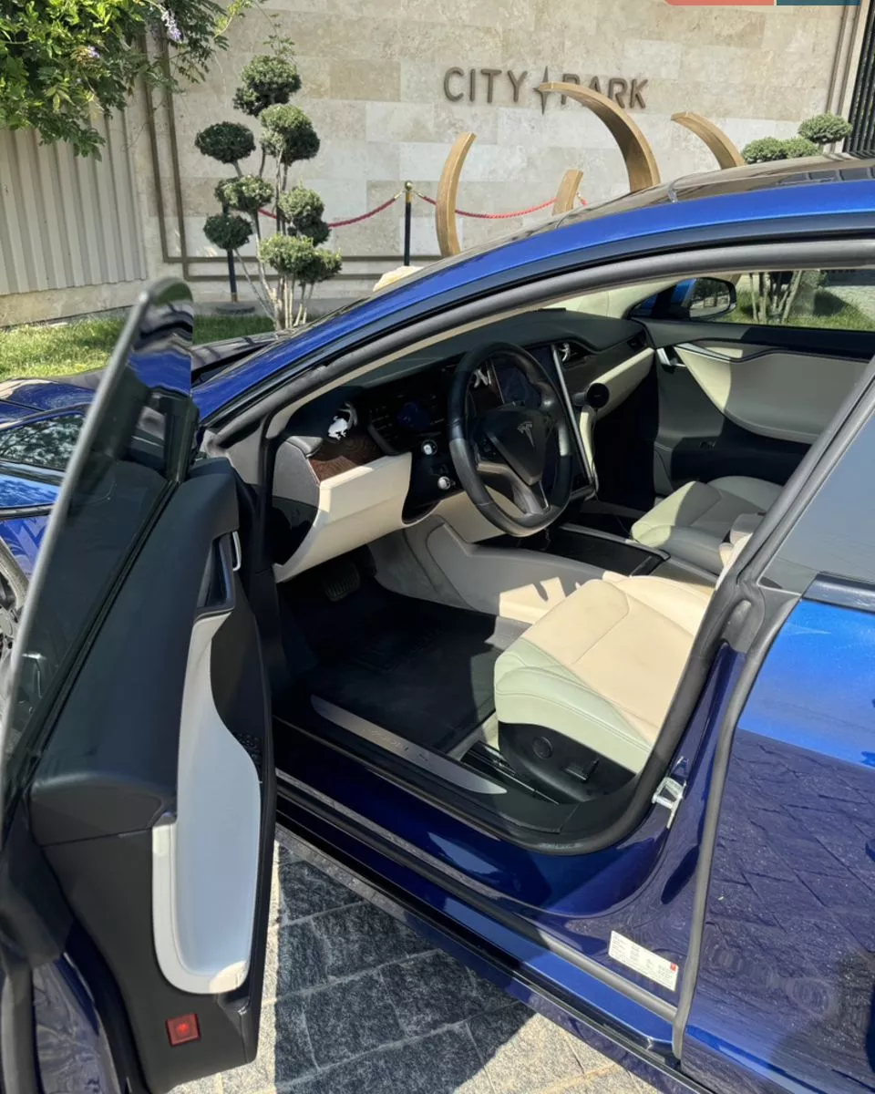 Tesla Model S  100 kWh 201841