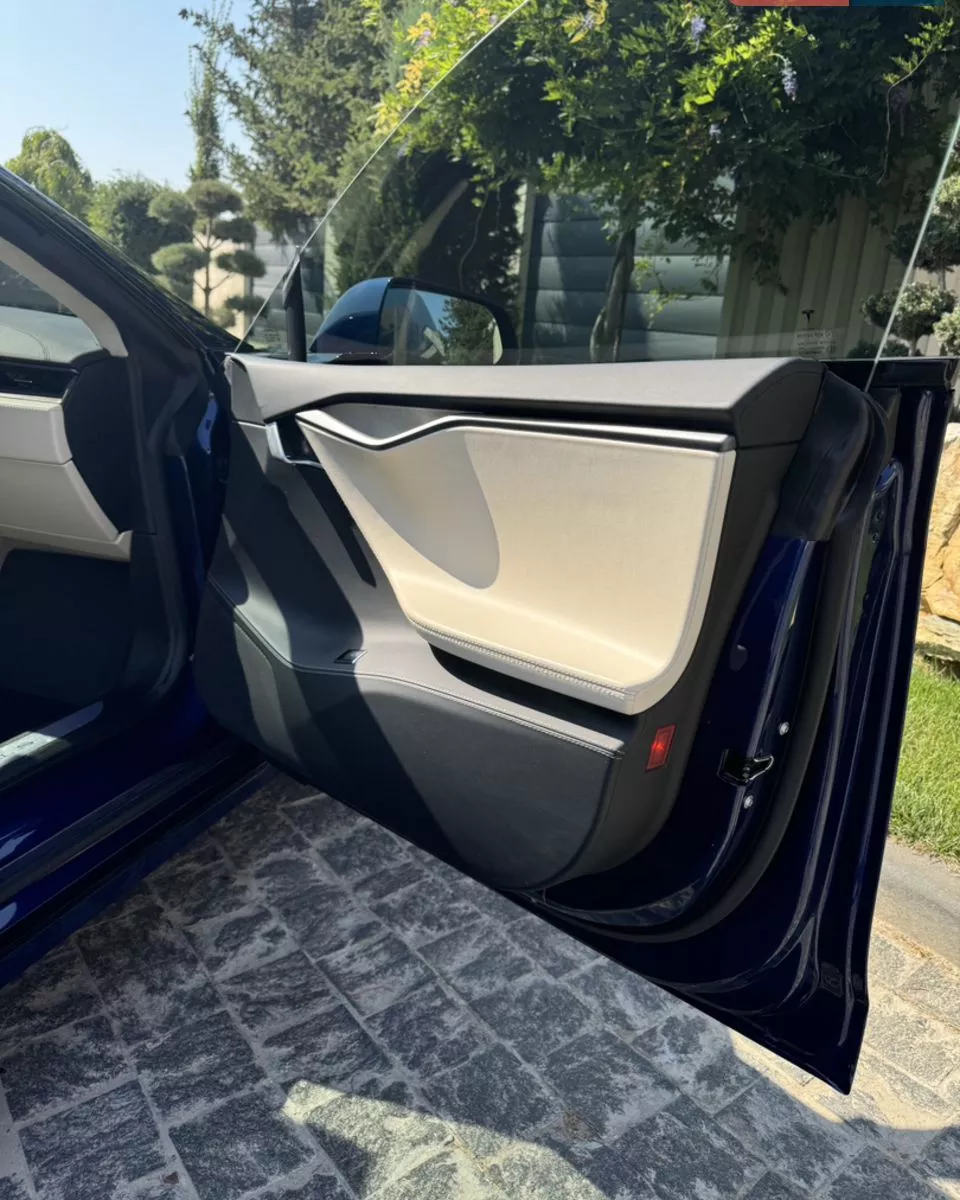 Tesla Model S  100 kWh 2018111