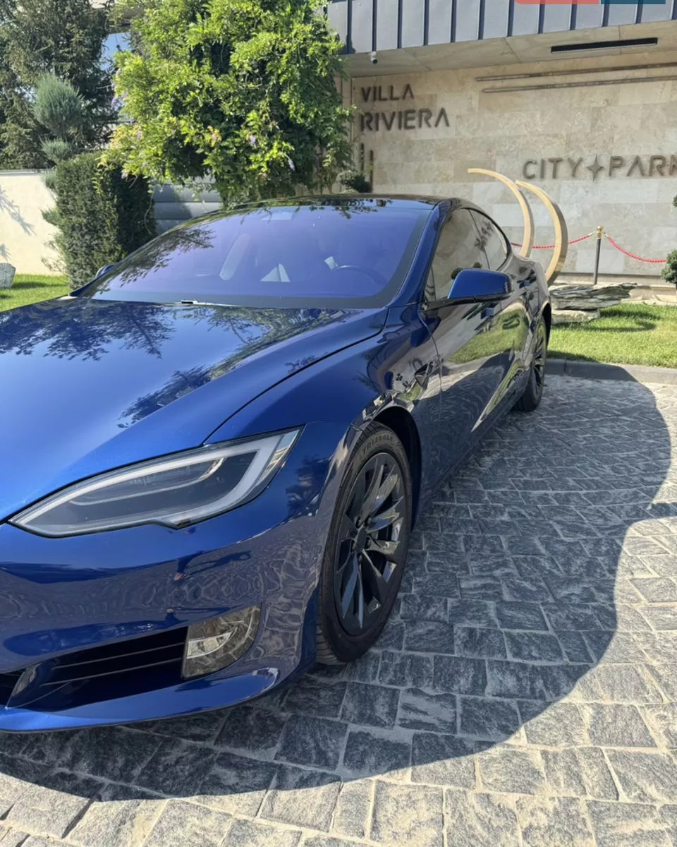 Tesla Model S  100 kWh 2018171