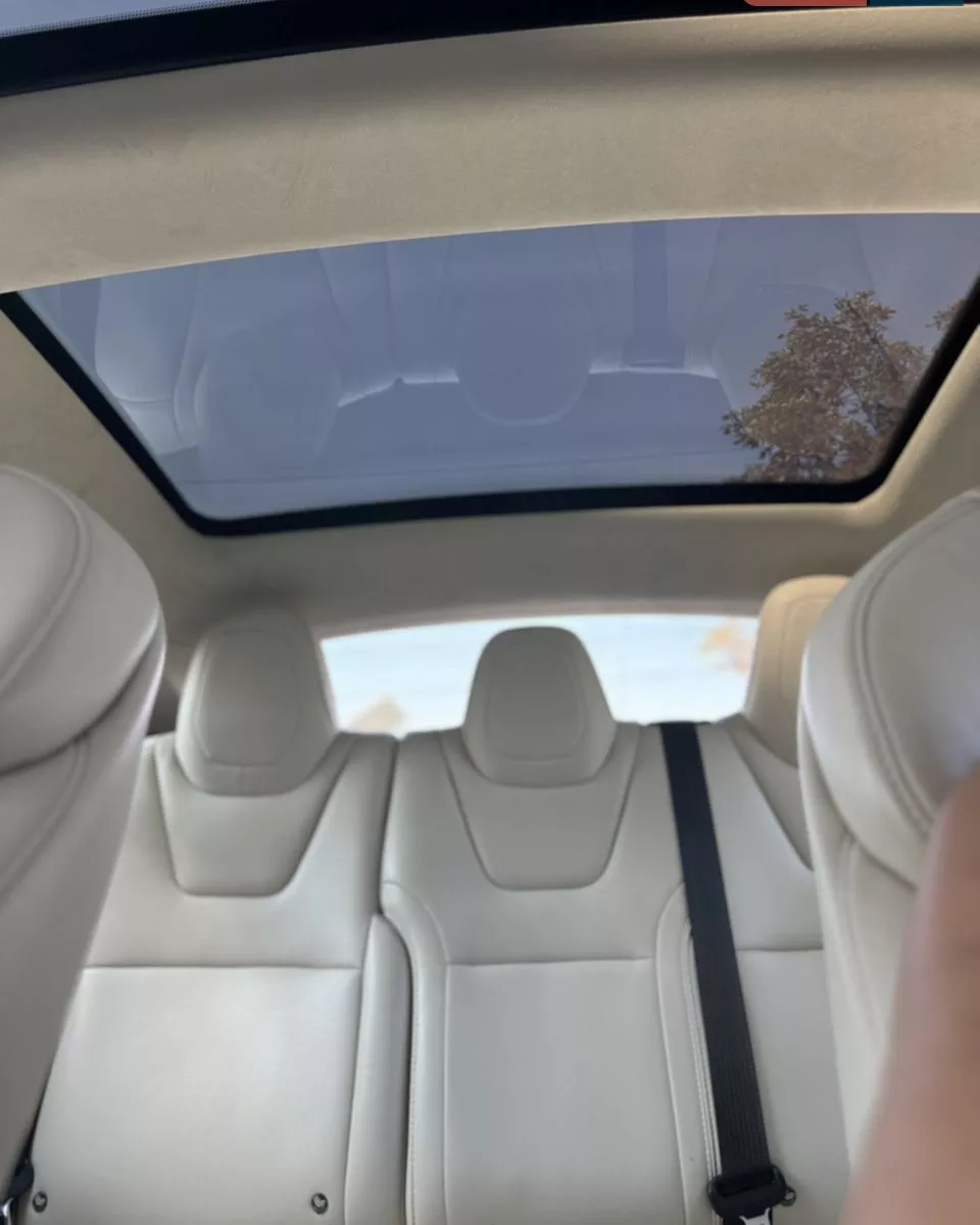 Tesla Model S  100 kWh 2018231