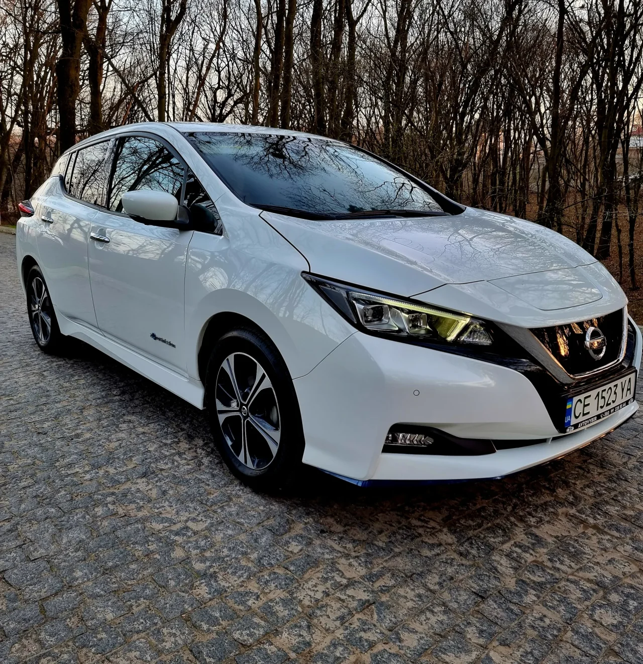 Nissan Leaf e+ 62 kWh 2019291